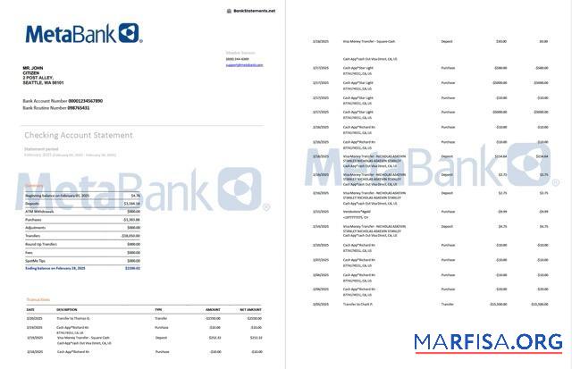 Downloadable USA Washington Metabank account statement word 2 pages template